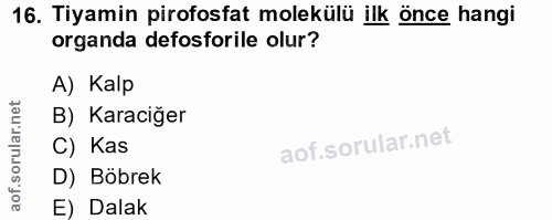 16. soru: Tiyamin pirofosfat molekülü ilk önce hangi organda defosforile olur? A) Kalp B) Karaciğer C) Kas D) Böbrek E) Dalak