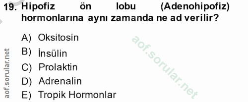 19. soru: Hipofiz ön lobu (Adenohipofiz) hormonlarına aynı zamanda ne ad verilir? A) Oksitosin B) Insülin C) Prolaktin D) Adren…