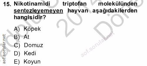 15. soru: Nikotinamidi triptofan molekülünden sentezleyemeyen hayvan aşağıdakilerden hangisidir? A) Köpek B) At C) Domuz aof.so…