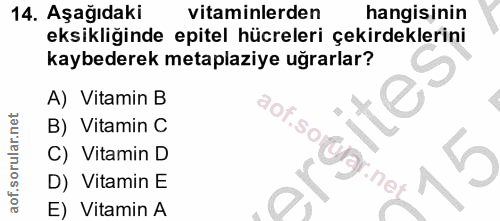 14. soru: Aşağıdaki vitaminlerden hangisinin eksikliginde epitel hücreleri çekirdeklerini kaybederek metaplaziye uğrarlar? A) V…