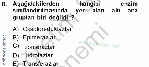 8. soru: Aşağıdakilerden hangisi enzim sınıflandırılmasında yer alan altı ana gruptan biri değildir? A) Oksidoredüktazlar B) E…