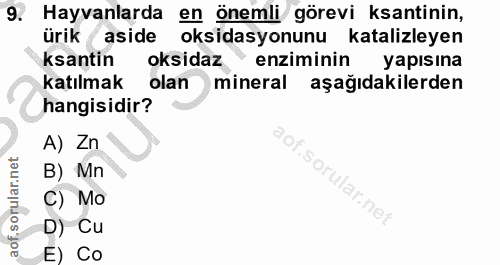 9. soru: Hayvanlarda en önemli görevi kantinin, ürik ( aside oksidasyonunu katalizleyen kantin oksidaz" enziminin yapısına kat…