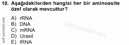 10. soru: Aşağıdakilerden hangisi her bir aminoasite özel olarak mevcuttur? A) rRNA B) DNA C) mRNA D) Urasil E) tRNA