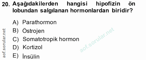 20. soru: Aşağıdakilerden hangisi hipofizin ön lobundan salgılanan hormonlardan biridir? A) Parathormon B) Östrojen C) Somatotr…