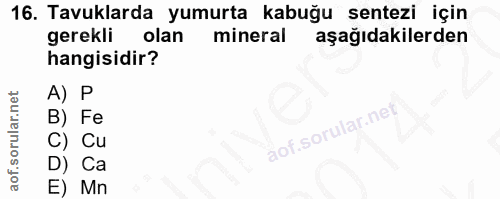 16. soru: Tavuklarda yumurta kabuğu sentezi için gerekli olan mineral aşağıdakilerden hangisidir? A) P Fe Cu Ca Mn