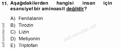 11. soru: Aşağıdakilerden hangisi insan için esansiyel bir aminoasit değildir? A) Fenilalanin B) Tirozin C) Lizin D) Metiyonin…