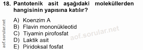 18. soru: Pantotenik asit aşağıdaki moleküllerden hangisinin yapısına katılır? A) Koenzim A B) Flavin mononükleotid C) Tiyamin…