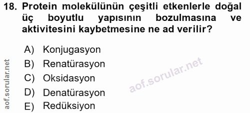 18. soru: Protein molekülünün çeşitli etkenlerle doğal üç boyutlu yapısının bozulmasına ve aktivitesini kaybetmesine ne ad veri…