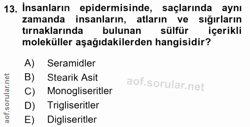 13. soru: Insanların epidermisinde, saçlarında aynı zamanda insanların, atların ve sığırların tırnaklarında bulunan sülfür içer…