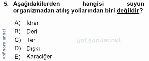 5. soru: Aşağıdakilerden hangisi suyun organizmadan atılış yollarından biri değildir? A) Idrar B) Deri C) Ter D) Dışkı E) Kara…