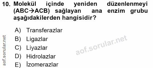 10. soru: Molekül içinde yeniden düzenlenmeyi (ABC→ACB) sağlayan ana enzim grubu aşağıdakilerden hangisidir? A) Transferazlar B…