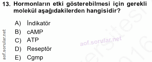 13. soru: Hormonların etki gösterebilmesi için gerekli molekül aşağıdakilerden hangisidir? A) Indikatör B) cAMP C) ATP D) Resep…