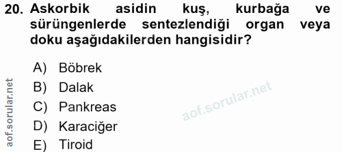 20. soru: Askorbik asidin kuş, kurbağa ve sürüngenlerde sentezlediği organ veya doku aşağıdakilerden hangisidir? A) Böbrek B) D…
