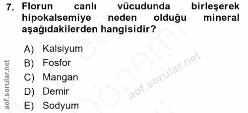 7. soru: Florun canli vücudunda birleşerek hipokalsemiye neden olduğu mineral aşağıdakilerden hangisidir? A) Kalsiyum B) Fosfo…