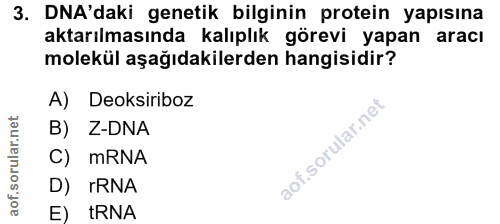 3. soru: DNA'daki genetik bilginin protein yapısına aktarılmasında kalıplık görevi yapan aracı molekül aşağıdakilerden hangisi…