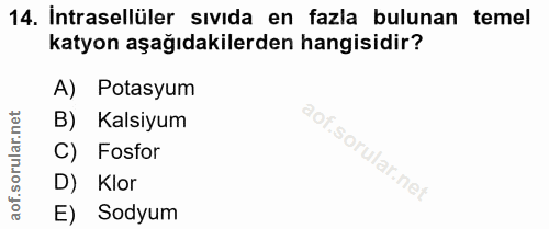 14. soru: Intrasellüler sivida en fazla bulunan temel katyon aşağıdakilerden hangisidir? A) Potasyum B) Kalsiyum C) Fosfor D) K…