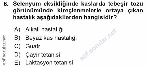 6. soru: Selenyum eksikliğinde kaslarda tebeşir tozu görünümünde kireçlenmelerle ortaya çıkan hastalık aşağıdakilerden hangisi…