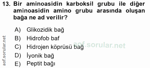 13. soru: Bir aminoasidin karboksil grubu ile diğer aminoasidin amino grubu arasında oluşan bağa ne ad verilir? A) Glikozidik b…