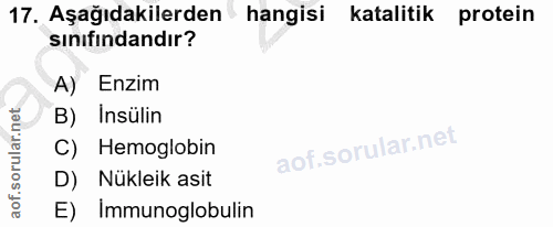 17. soru: Aşağıdakilerden hangisi katalitik protein sinıfindandır? A) Enzim B) Insülin C) Hemoglobin D) Nükleik asit E) Immunog…