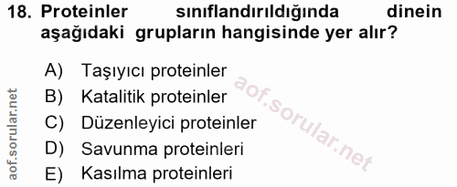 18. soru: Proteinler sınıflandırıldığında dinein aşağıdaki grupların hangisinde yer alır? A) Taşıyıcı proteinler B) Katalitik p…