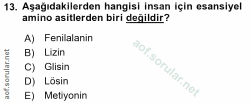 13. soru: Aşağıdakilerden hangisi insan için esansiyel amino asitlerden biri değildir? A) Fenilalanin B) Lizin C) Glisin D) Lös…