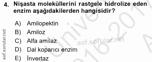 4. soru: Nişasta moleküllerini rastgele hidrolize eden enzim aşağıdakilerden hangisidir? A) Amilopektin Amiloz zauueinuos joe…