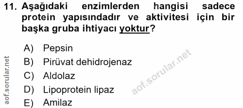 11. soru: Aşağıdaki enzimlerden hangisi sadece protein yapısındadır ve aktivitesi için bir başka gruba ihtiyacı yoktur? A) Peps…