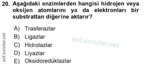 20. soru: Aşağıdaki enzimlerden hangisi hidrojen veya oksijen atomlarını ya da elektronları bir substrattan diğerine aktarır? A…