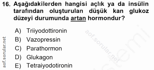 16. soru: Aşağıdakilerden hangisi açlık ya da insülin tarafından oluşturulan düşük kan glukoz düzeyi durumunda artan hormondur?…