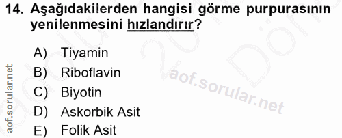 14. soru: Aşağıdakilerden hangisi görme purpurasının yenilenmesini hızlandırır? A) Tiyamin B) Riboflavin C) Biyotin D) Askorbik…