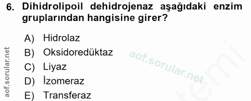 6. soru: Dihidrolipoil dehidrojenaz aşağıdaki enzim gruplarından hangisine girer? A) Hidrolaz B) Oksidoredüktaz C) Liyaz D) Iz…