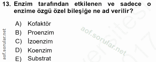 13. soru: Enzim tarafından etkilenen ve sadece o enzime özgü özel bileşiğe ne ad verilir? A) Kofaktör B) Proenzim C) Izoenzim D…