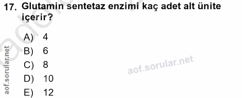 17. soru: Glutamin sentetaz enzimi kaç adet alt ünite içerir? A) 4 B) 6 C) 8 D) 10 E) 12