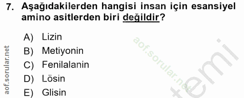 7. soru: Aşağıdakilerden hangisi insan için esansiyel amino asitlerden biri değildir? A) Lizin B) Metiyonin aof.sorular.ni C)…