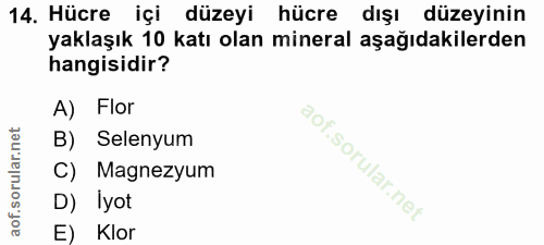14. soru: Hücre içi düzeyi hücre dışı düzeyinin yaklaşık 10 katı olan mineral aşağıdakilerden hangisidir? A) Flor B) Selenyum C…