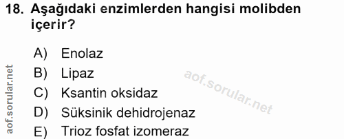 18. soru: Aşağıdaki enzimlerden hangisi molibden içerir? A) Enolaz B) Lipaz C) Ksantin oksidaz D) Süksinik dehidrojenaz E) Trio…