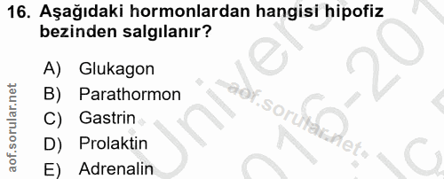 16. soru: Aşağıdaki hormonlardan hangisi hipofiz bezinden salgılanır? A) Glukagon Parathormon 90y .sorul C) Gastrin D) Prolakti…