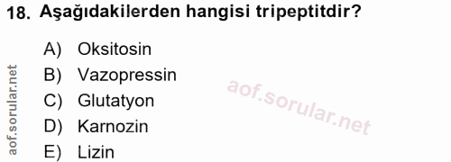 18. soru: Aşağıdakilerden hangisi tripeptitdir? A) Oksitosin B) Vazopressin C) Glutatyon D) Karnozin E) Lizin