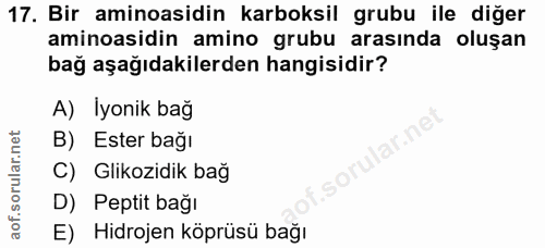 17. soru: Bir aminoasidin karboksil grubu ile diğer aminoasidin amino grubu arasında oluşan bağ aşağıdakilerden hangisidir? A)…
