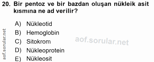 20. soru: Bir pentoz ve bir bazdan oluşan nükleik asit kısmına ne ad verilir? A) Nükleotid B) Hemoglobin C) Sitokrom D) Nükleop…