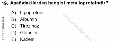 19. soru: Aşağıdakilerden hangisi metalloproteindir? A) Lipoprotein B) Albumin C) Tirozinaz D) Globulin E) Kazein