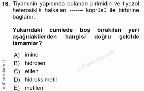 16. soru: Tiyaminin yapısında bulanan pirimidin ve tiyazol heterosiklik halkaları --- köprüsü ile birbirine bağlanır. Yukarıdak…