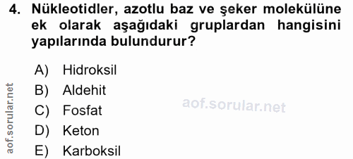 4. soru: Nükleotidler, azotlu baz ve şeker molekülüne ek olarak aşağıdaki gruplardan hangisini yapılarında bulundurur? A) Hidr…