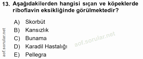 13. soru: Aşağıdakilerden hangisi sıçan ve köpeklerde riboflavin eksikliğinde görülmektedir? A) Skorbüt B) Kansızlık C) Bunama…