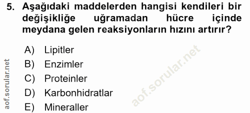 5. soru: Aşağıdaki maddelerden hangisi kendileri bir değişikliğe uğramadan hücre içinde meydana gelen reaksiyonların hızını ar…