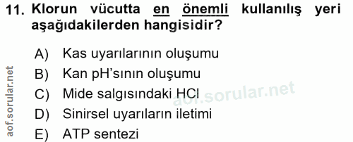 11. soru: Klorun vücutta en önemli kullanılış yeri aşağıdakilerden hangisidir? A) Kas uyarılarının oluşumu B) Kan pH'sının oluş…
