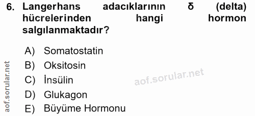 6. soru: Langerhans adacıklarının б (delta) hücrelerinden hangi hormon salgılanmaktadır? A) Somatostatin B) Oksitosin ular. C)…