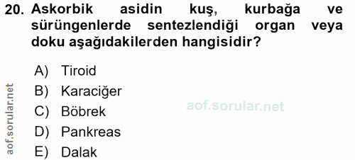 20. soru: Askorbik asidin kuş, kurbağa ve sürüngenlerde sentezlediği organ veya doku aşağıdakilerden hangisidir? A) Tiroid B) K…