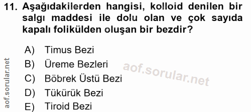11. soru: Aşağıdakilerden hangisi, kolloid denilen bir salgı maddesi ile dolu olan ve çok sayıda kapalı folikülden oluşan bir b…