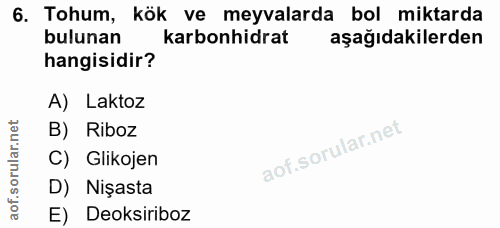 6. soru: Tohum, kök ve meyvalarda bol miktarda bulunan karbonhidrat aşağıdakilerden hangisidir? A) Laktoz B) Riboz C) Glikojen…